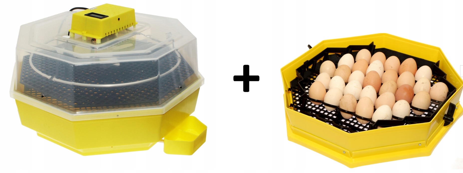 zobacz Inkubator na 60 jaj klujnik wyświetlacz + GRATIS moduł 